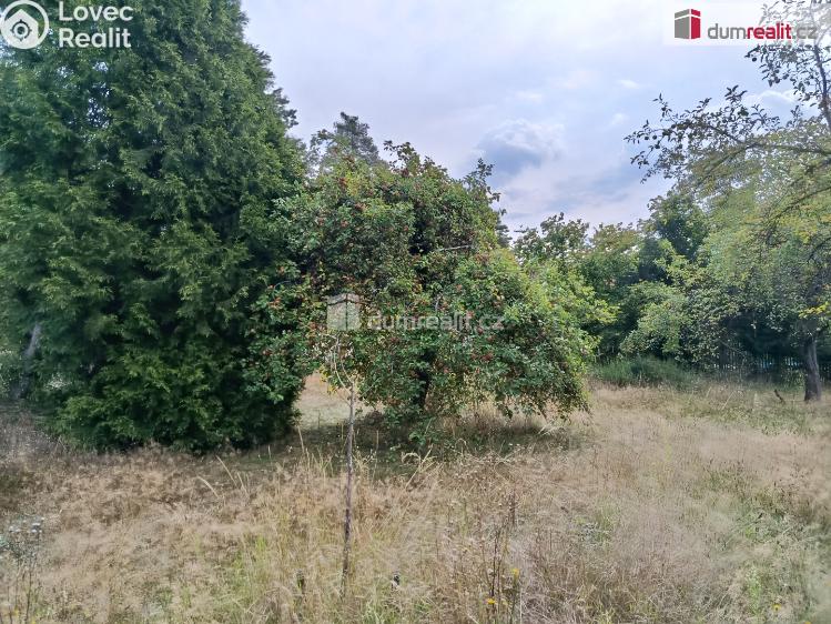 Pronájem rodinného domu Týnec nad Sázavou č. 9