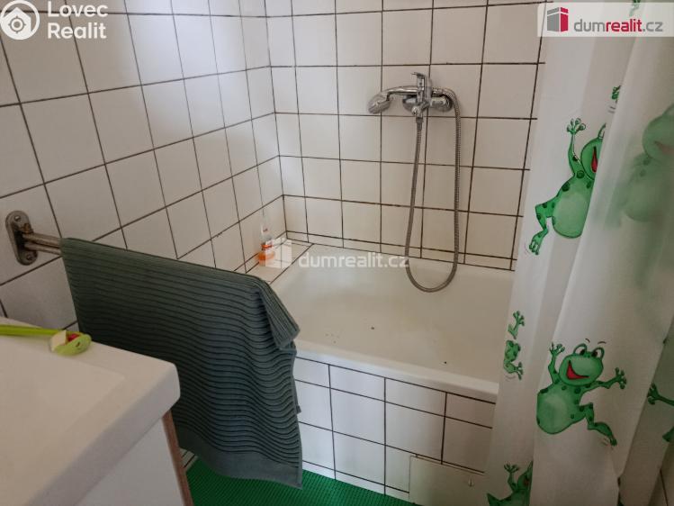 Pronájem rodinného domu Týnec nad Sázavou č. 25
