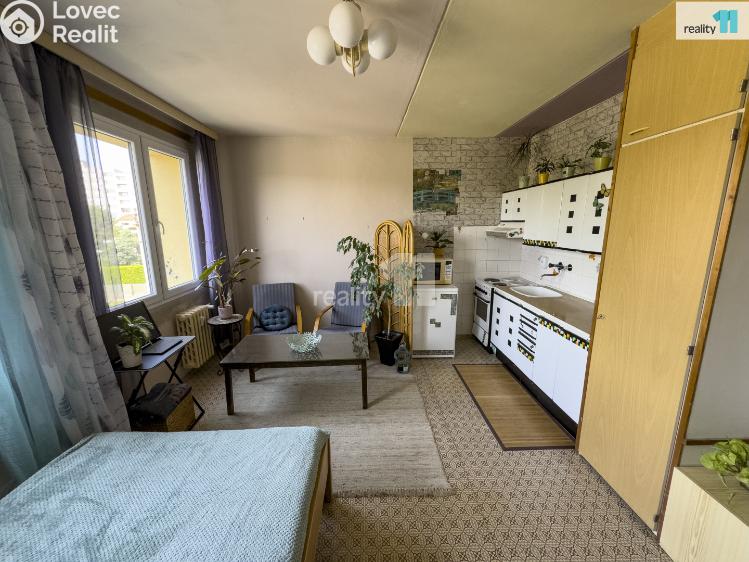 Продаж квартири 1+KK Plzeň, Turistická č. 2