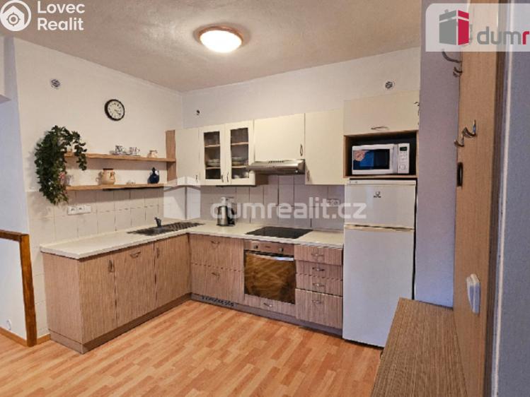 Rent apartment 1+KK Bystřice, Dr. E. Beneše č. 1