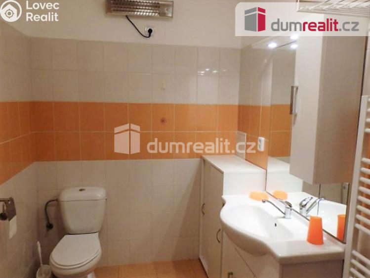 Rent apartment 1+KK Bystřice, Dr. E. Beneše č. 6