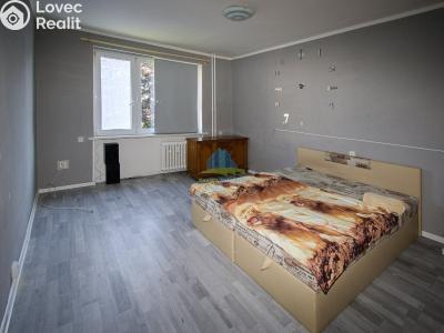 Prodej bytu 2+1 Aš, Palackého č. 1