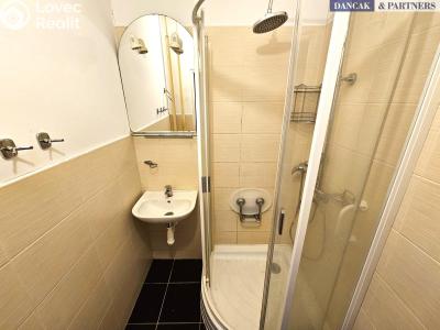 Sale apartment 3+1 Ostrava, Výškovická č. 1