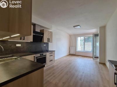 Pronájem bytu 3+KK České Budějovice, Riegrova č. 1
