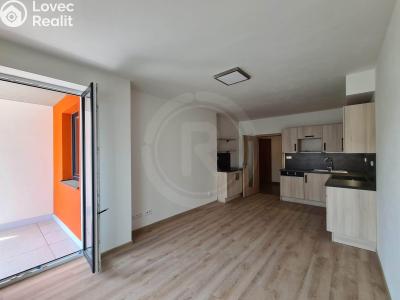 Pronájem bytu 3+KK České Budějovice, Riegrova č. 2