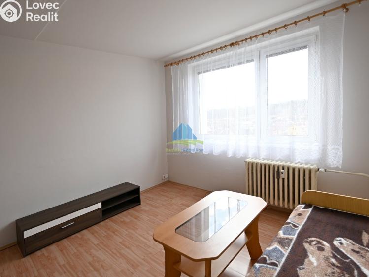 Pronájem bytu 1+1 Františkovy Lázně, Husitská 369/9 č. 3