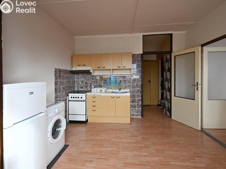 Pronájem bytu 1+1 Františkovy Lázně, Husitská 369/9 č. 9