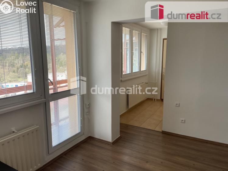 Pronájem bytu 1+1 Zruč nad Sázavou, Na Výsluní č. 7