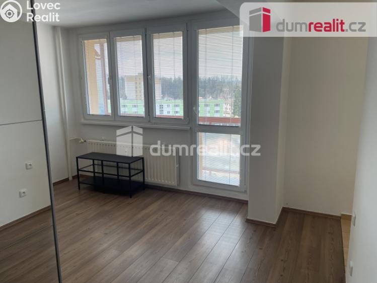 Pronájem bytu 1+1 Zruč nad Sázavou, Na Výsluní č. 11
