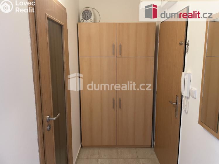 Pronájem bytu 1+1 Zruč nad Sázavou, Na Výsluní č. 12