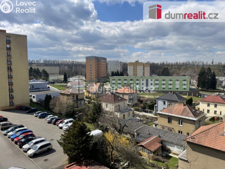 Pronájem bytu 1+1 Zruč nad Sázavou, Na Výsluní č. 30