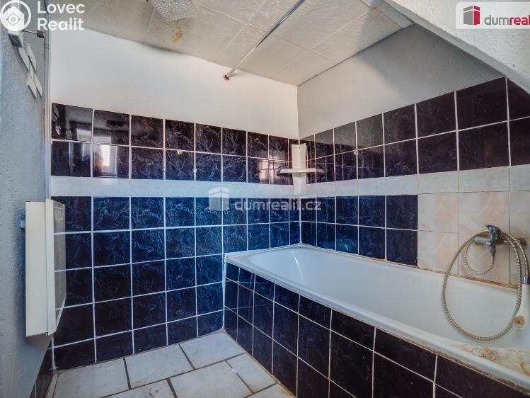 Продаж сімейного будинку Podomí č. 4