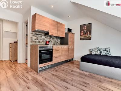 Prodej bytu 1+KK Karlovy Vary, Moskevská č. 2