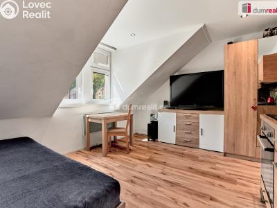 Prodej bytu 1+KK Karlovy Vary, Moskevská č. 4