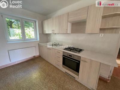 Pronájem bytu 2+1 Opava, Myslbekova č. 1