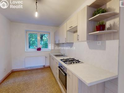 Аренда квартиры 2+1 Opava, Myslbekova č. 3