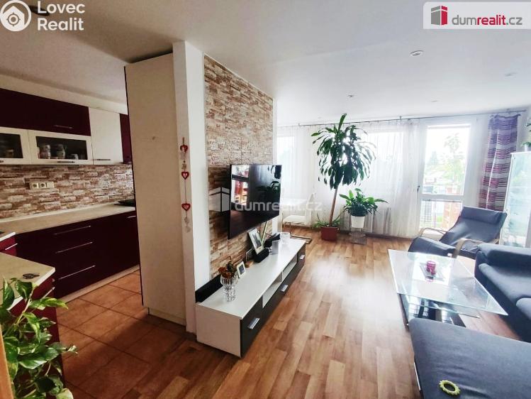 Sale apartment 3+1 Lysá nad Labem, Na Vysoké mezi č. 4