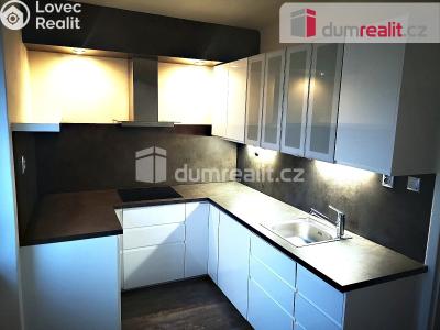 Rent apartment 3+1 Plzeň, Baarova č. 2