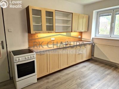 Pronájem bytu 2+1 České Budějovice, Lipenská č. 1