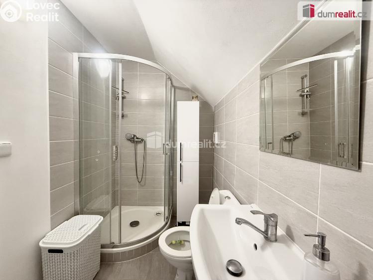 Pronájem bytu 3+KK Děčín, Vilsnická č. 10