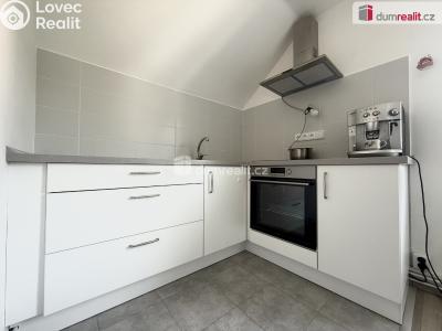 Оренда квартири 3+KK Děčín, Vilsnická č. 1