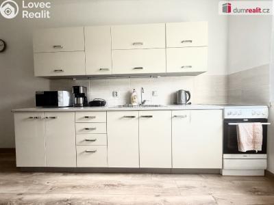 Оренда квартири 2+1 Děčín, Teplická č. 1