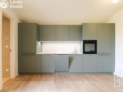 Rent apartment 1+KK Praha, Boleslavova č. 1
