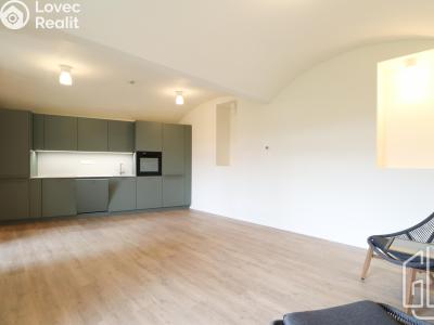 Rent apartment 1+KK Praha, Boleslavova č. 4