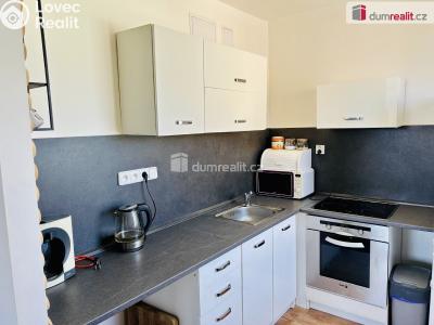 Продажа квартиры 2+KK Zruč nad Sázavou, Poštovní č. 6