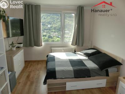 Pronájem bytu 2+1 Ústí nad Labem, Tolstého č. 4
