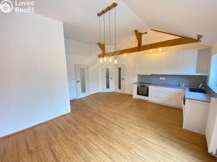 Pronájem rodinného domu Hrdějovice, Těšínská 554 č. 4