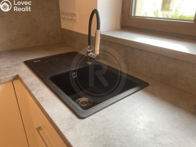 Pronájem rodinného domu Hrdějovice, Těšínská 554 č. 12