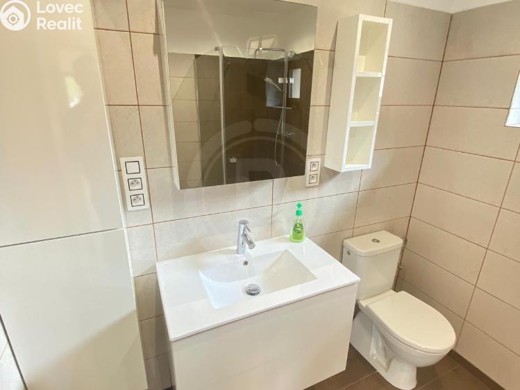 Pronájem rodinného domu Hrdějovice, Těšínská 554 č. 16