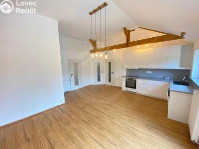 Pronájem rodinného domu Hrdějovice, Těšínská 554 č. 4