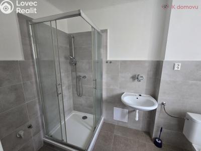 Pronájem bytu 1+1 Přerov, Purkyňova č. 2