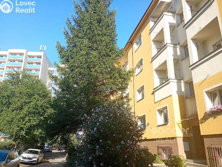 Pronájem bytu 1+KK Praha, Jeseniova č. 10