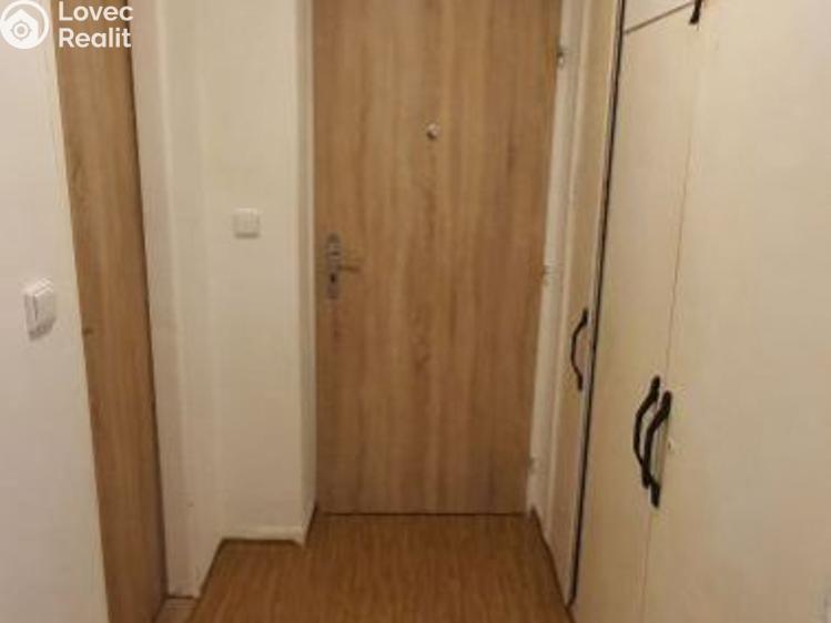 Pronájem bytu 1+1 Bor č. 7