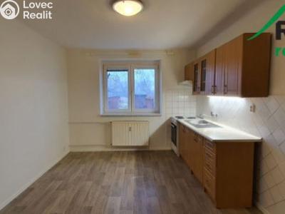 Rent apartment 1+1 Bor č. 1