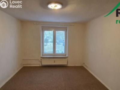 Rent apartment 1+1 Bor č. 3