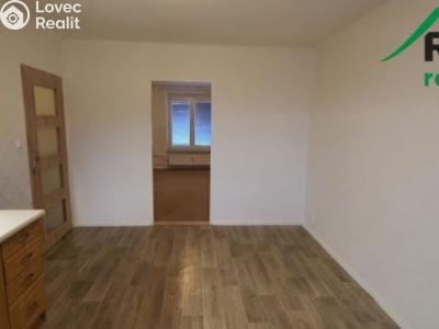 Rent apartment 1+1 Bor č. 4