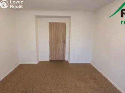 Rent apartment 1+1 Bor č. 5