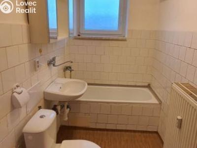 Rent apartment 1+1 Bor č. 6
