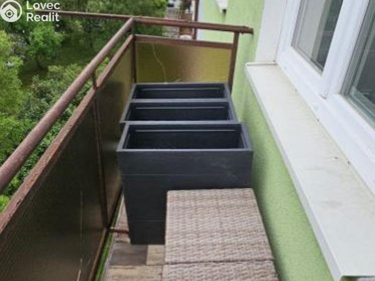 Pronájem bytu 2+1 Tachov, školní č. 5