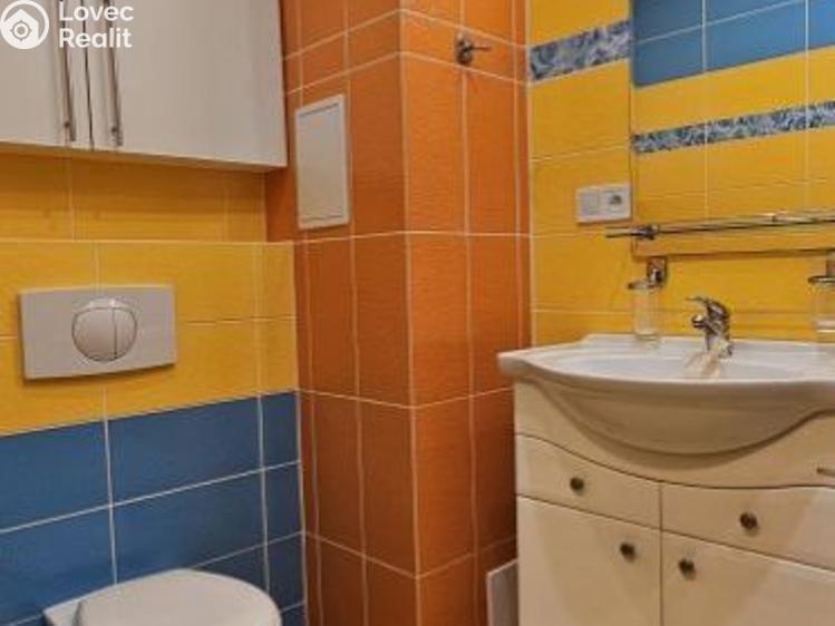 Pronájem bytu 2+1 Tachov, školní č. 12
