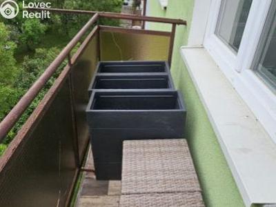 Pronájem bytu 2+1 Tachov, školní č. 5