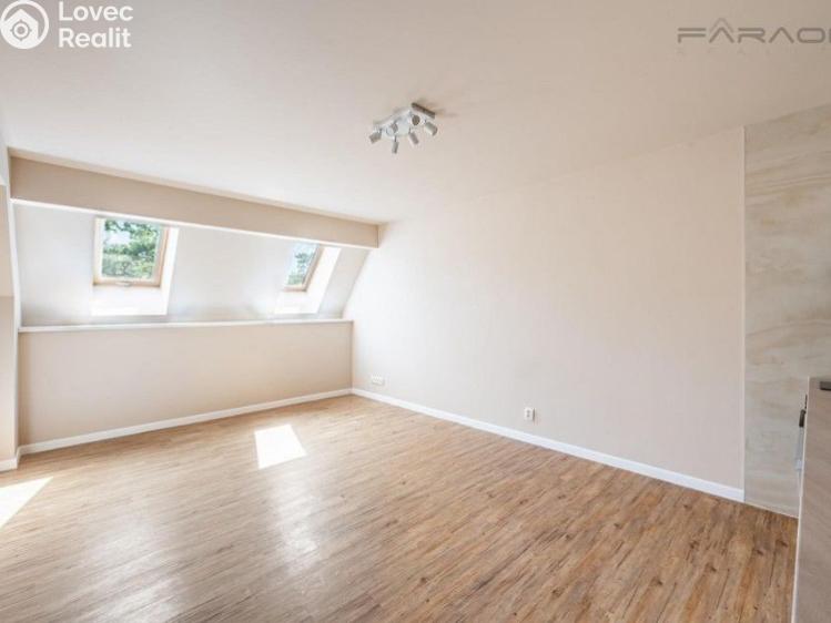 Pronájem bytu 1+KK Dobříš č. 13