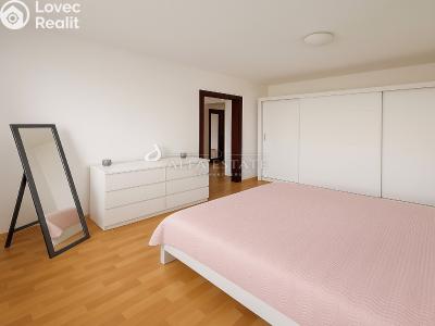 Rent apartment 1+1 Chodov, Jiráskova č. 4