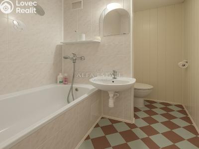 Rent apartment 1+1 Chodov, Jiráskova č. 5