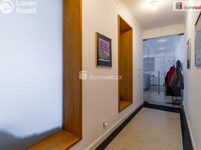 Rent office space Praha 1, Ostrovní č. 6