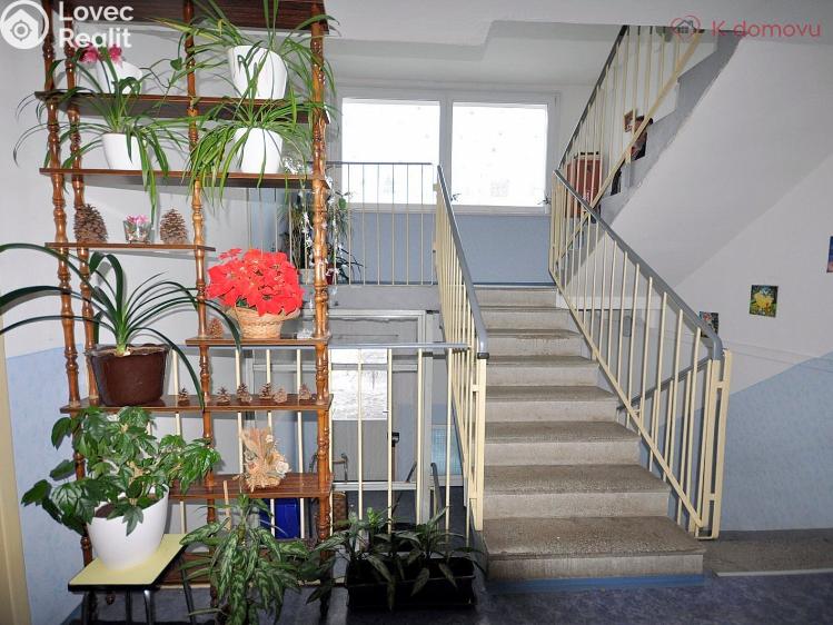 Продаж квартири 2+1 Zábřeh, Žerotínov 315/7 č. 15